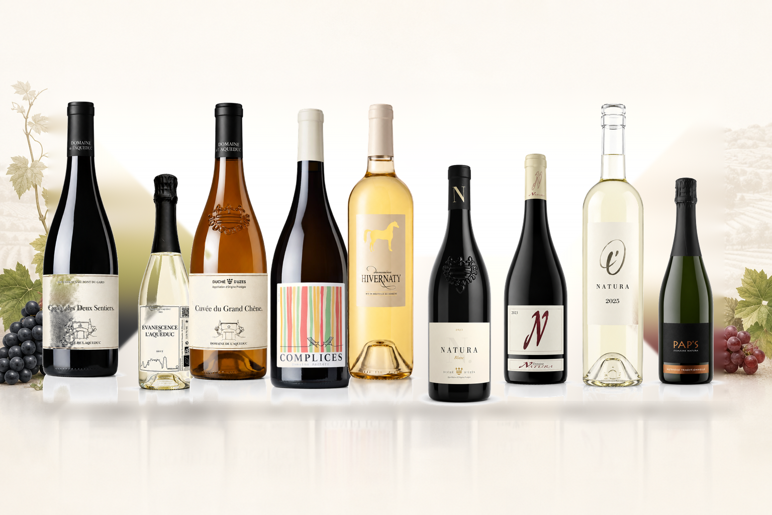 Vins Blancs / White Wines