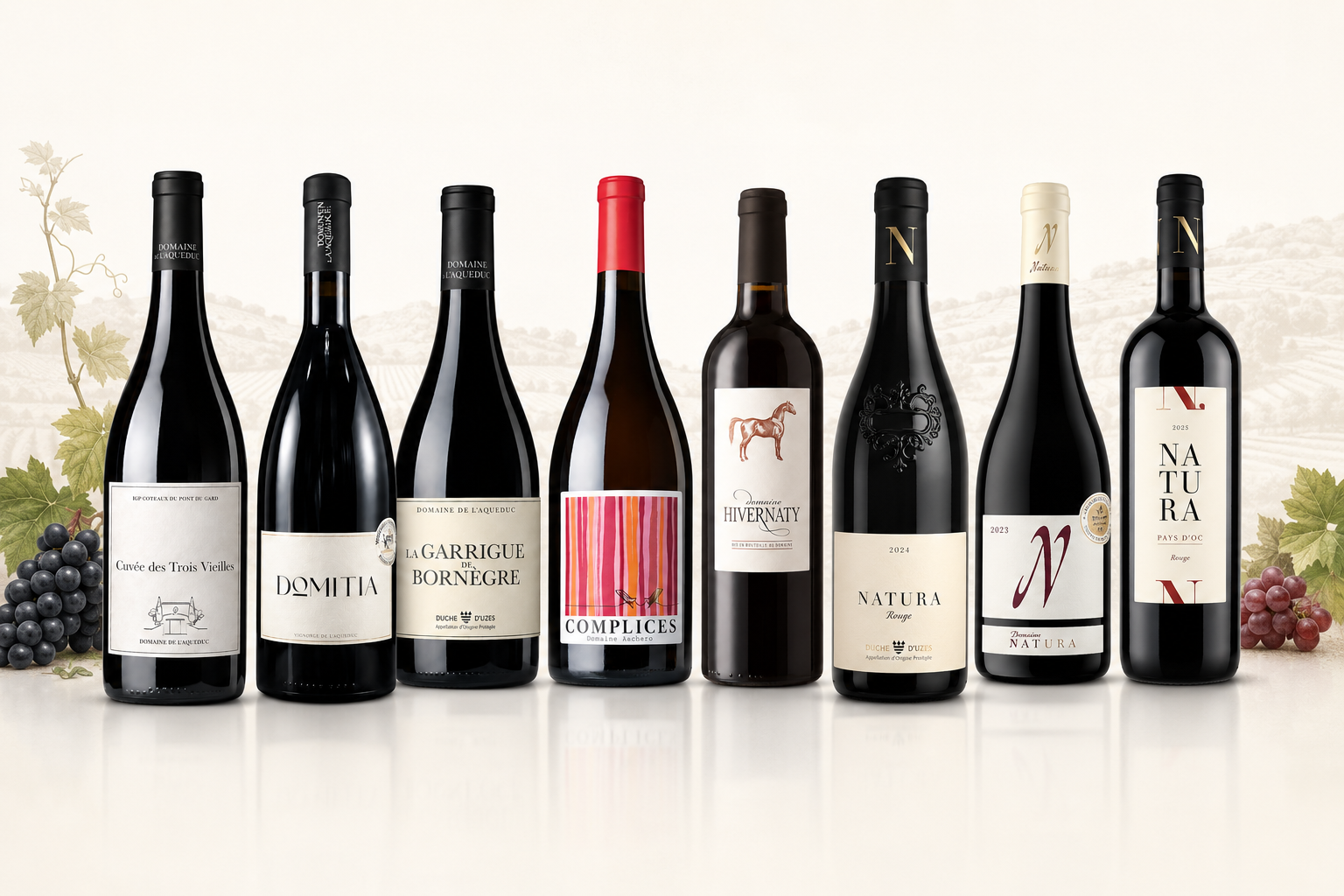 Vins Rouges / Red Wines